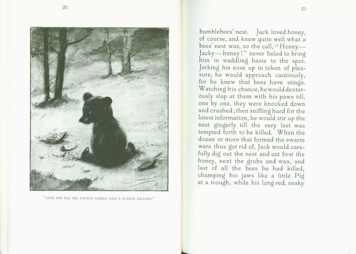 MONARCH, the Big Bear of Tallac in the Lake Tahoe High Sierra.&nbsp;vist0040d